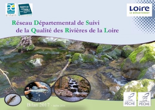 [Publication] Réseau départemental de suivi de la qualité des rivières de la Loire - Bilan 2017