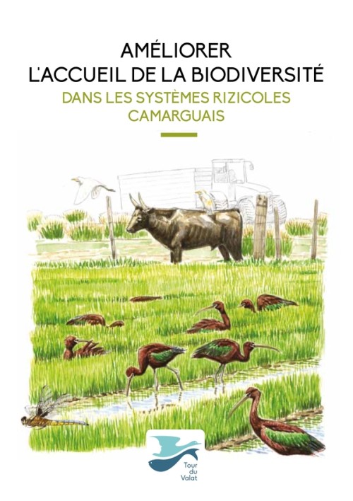 [Publication] Améliorer l'accueil de la biodiversité dans les systèmes rizicoles camarguais