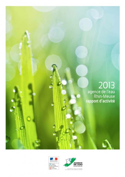 [Publication] Rapport d'activité 2013 - Agence de l'eau Rhin-Meuse