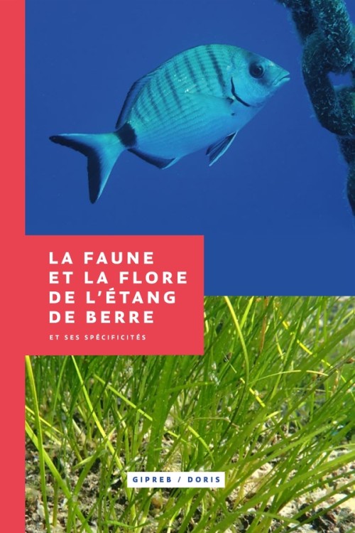 [Publication] La faune et la flore de l’étang de Berre