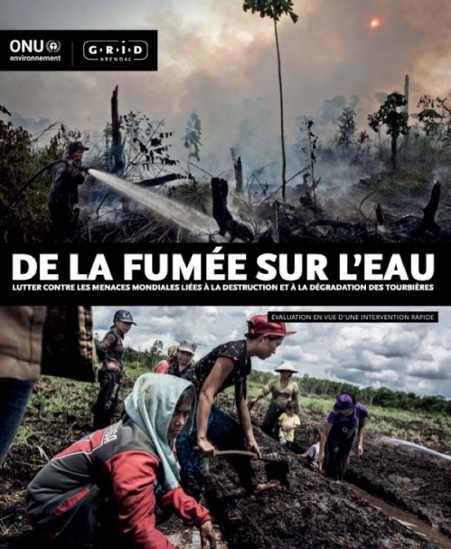 [Publication] De la fumée sur l'eau : lutter contre les menaces mondiales liées à la destruction et à la dégradation des tourbières