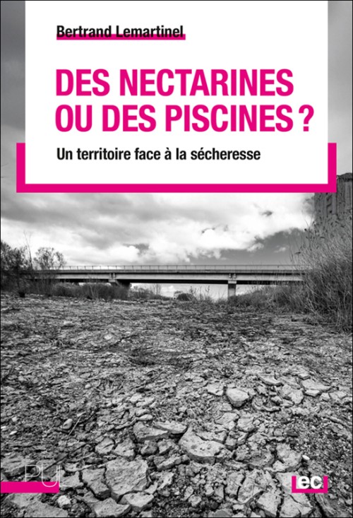 [Publication] Des nectarines ou des piscines ?