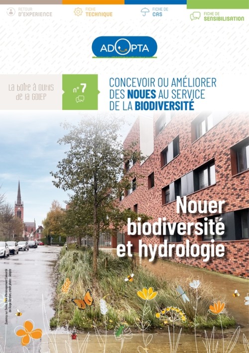 [Publication] Concevoir ou améliorer des noues au service de la biodiversité