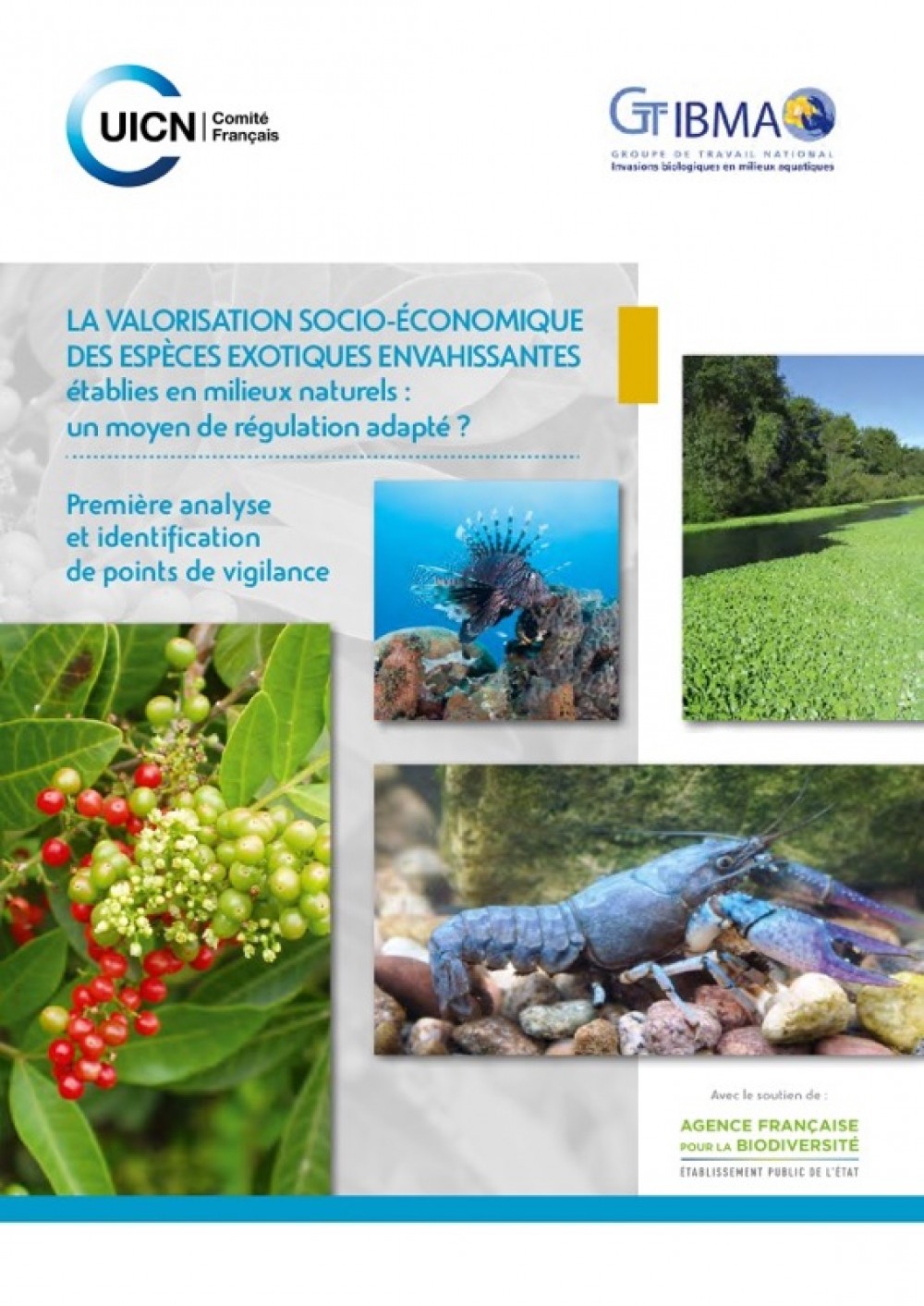[Publication] Espèces exotiques envahissantes : enjeux et risques de leur valorisation socio-économique
