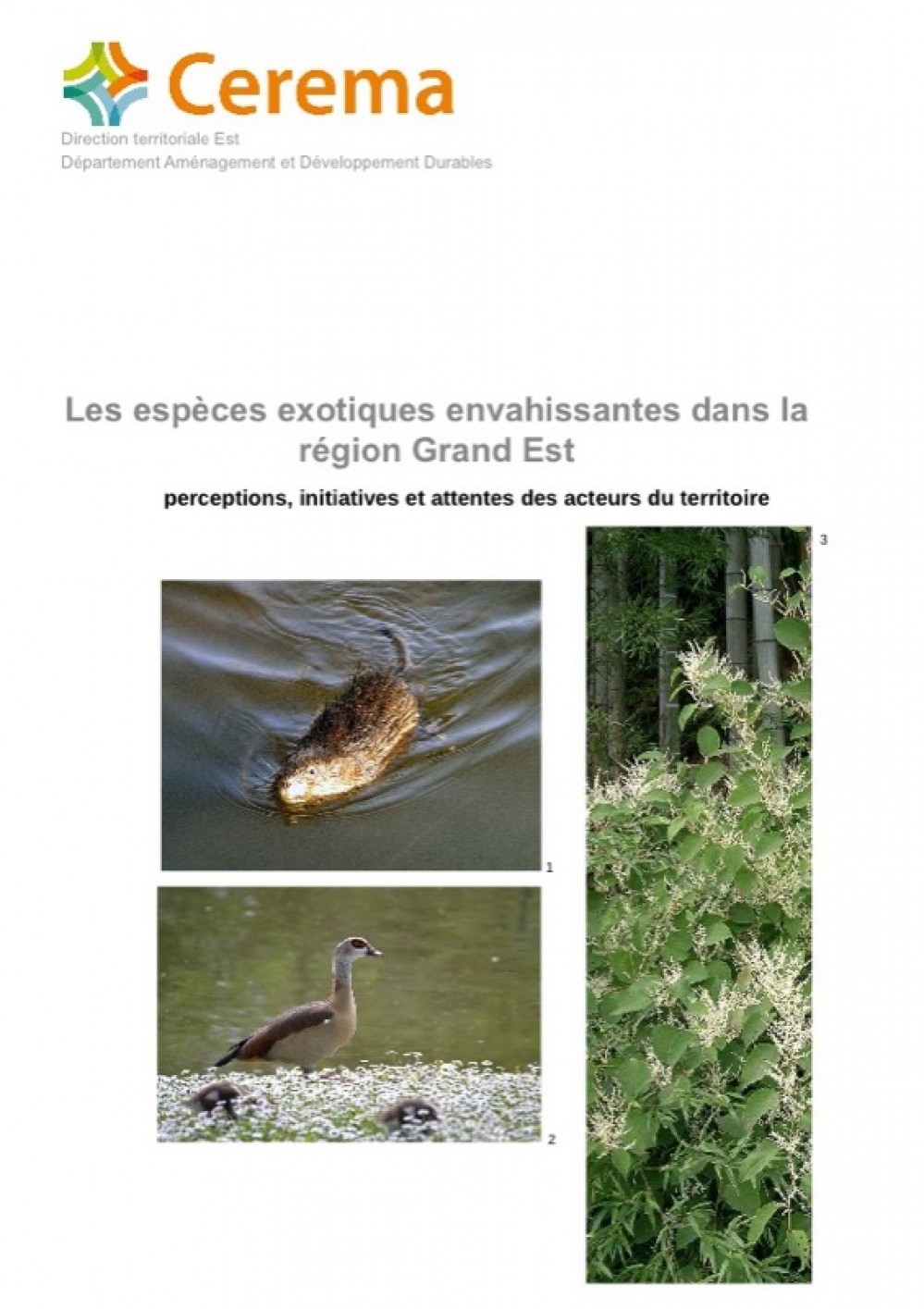 [Publication] Les espèces exotiques envahissantes dans la région Grand Est - perspectives, initiatives et attentes des acteurs du territoire - Internet DREAL Grand Est