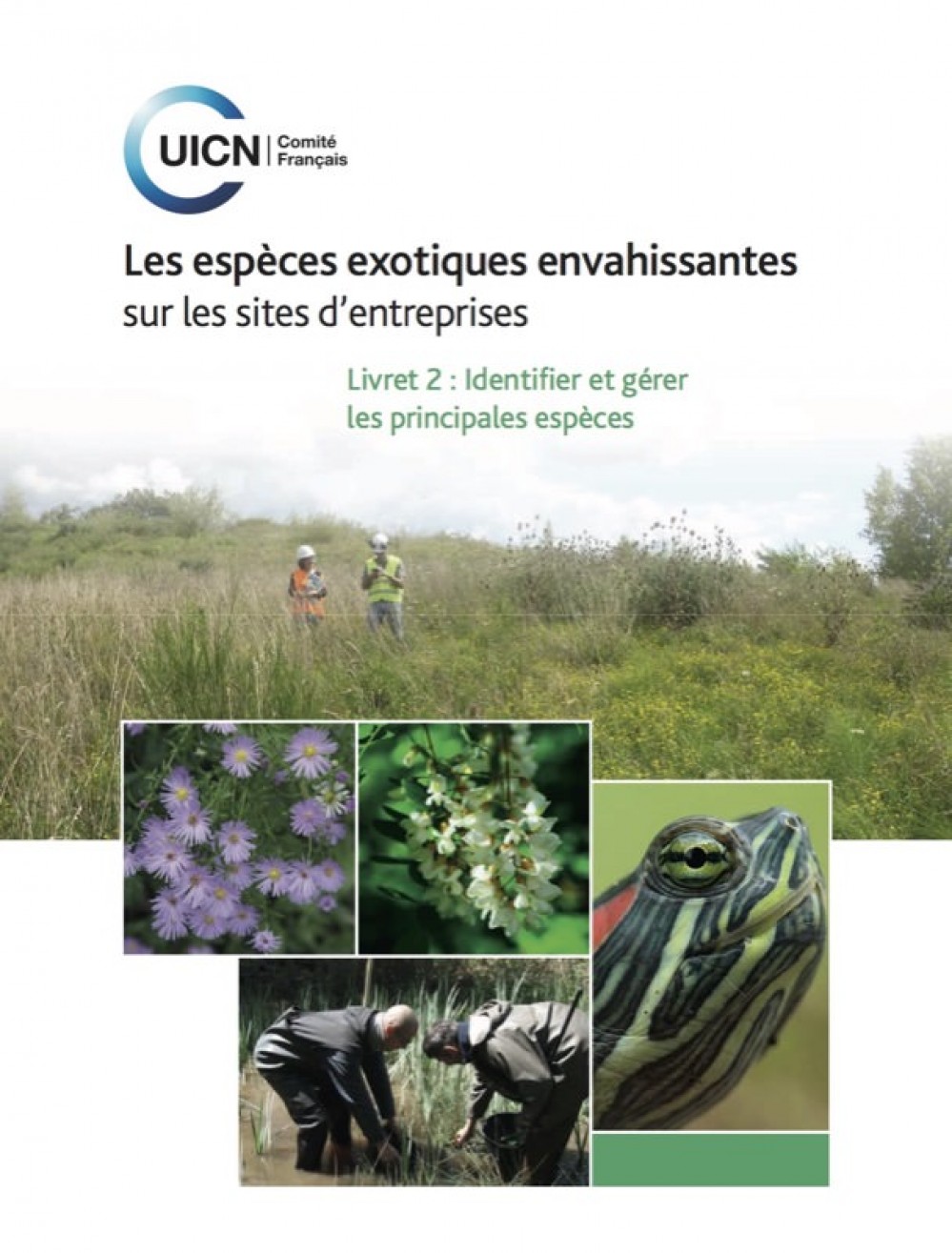 [Publication] Les espèces exotiques envahissantessur les sites d'entreprises - Livret 2 : Identifier et gérer les principales espèces