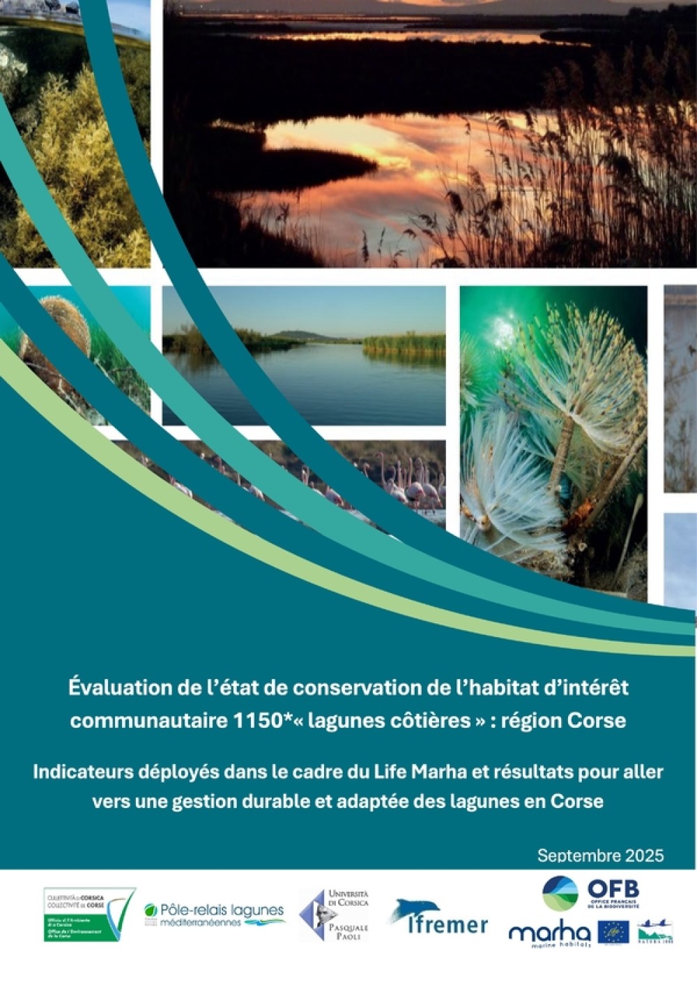 [Publication] Résultats de l’évaluation de l’état de conservation des lagunes côtières en Corse (2020-2023)