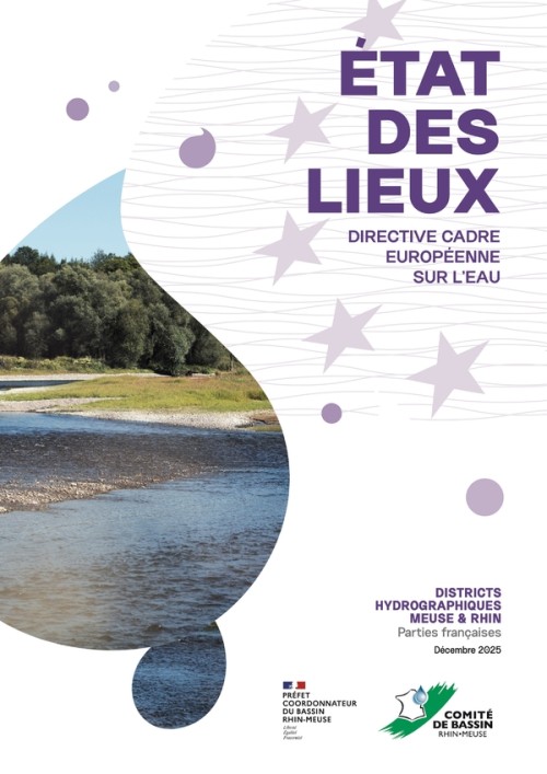 [Publication] État des lieux 2025 du bassin Rhin-Meuse : des progrès significatifs, des défis à relever