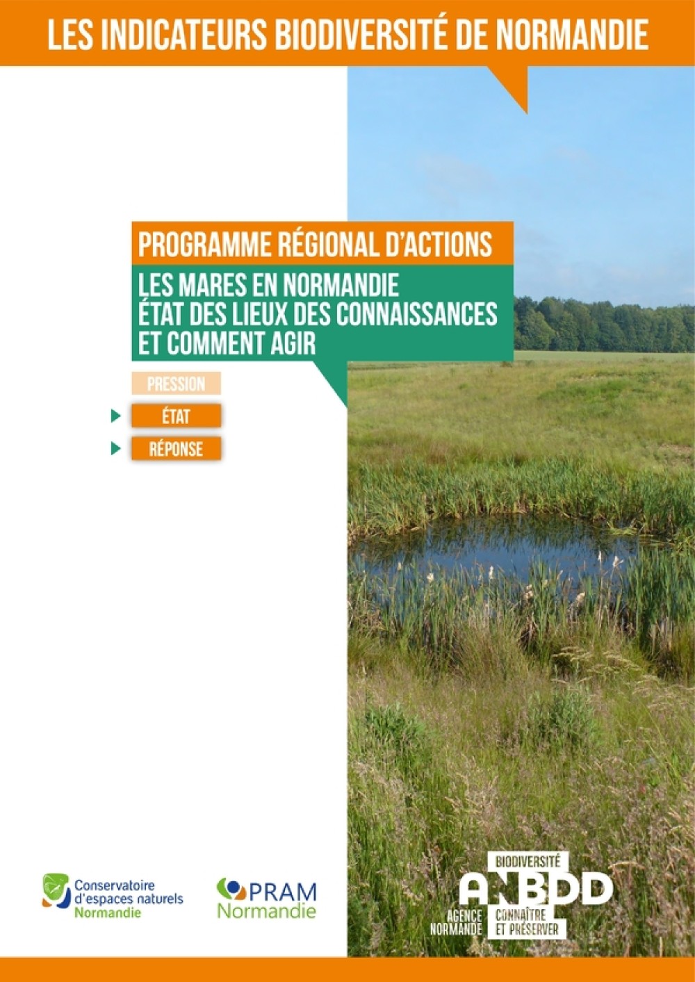 [Publication] Les mares en Normandie : état des lieux des connaissances et comment agir