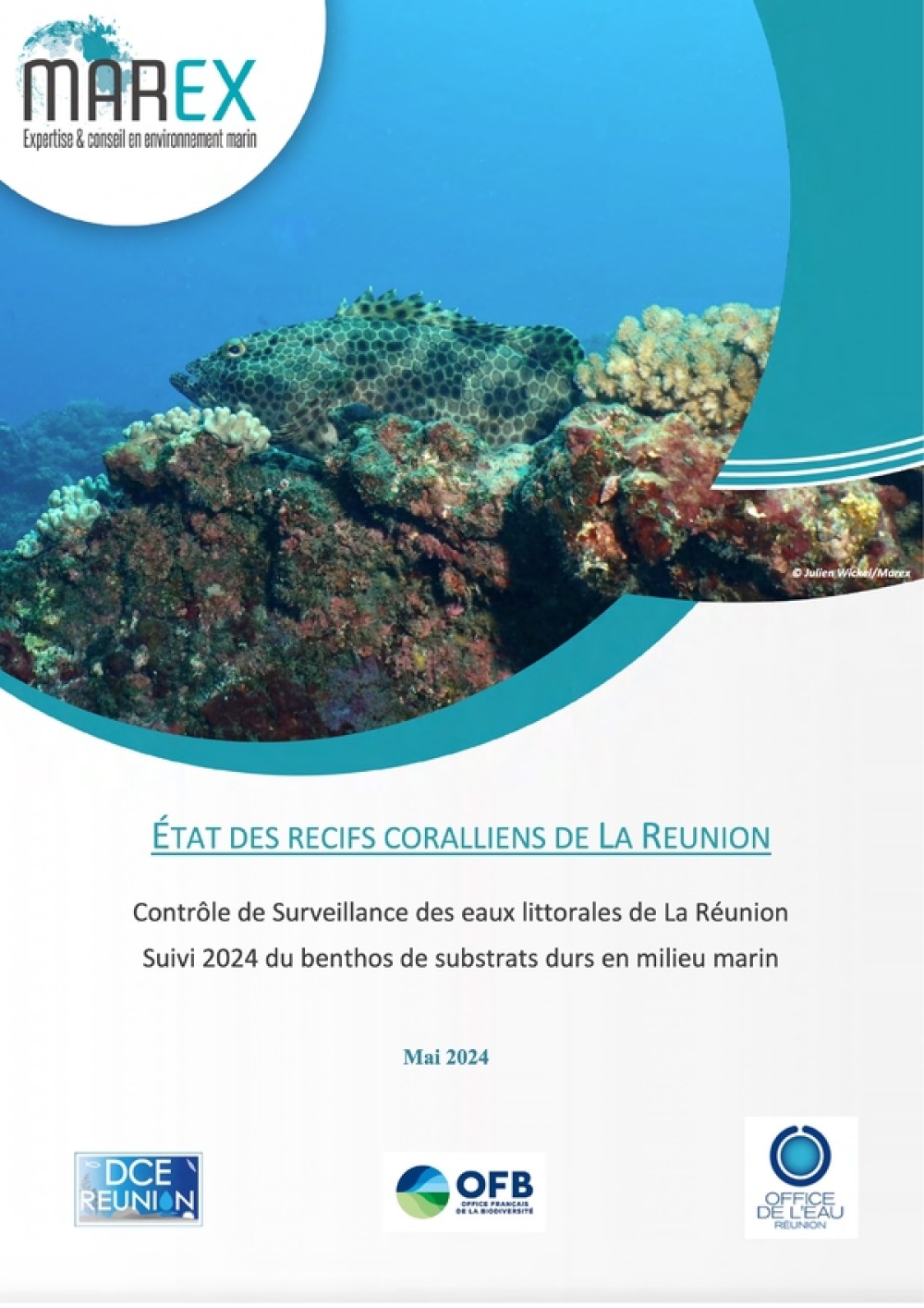 [Publication] Etat des récifs coralliens de La Réunion - Contrôle de Surveillance des eaux littorales de La Réunion - Suivi 2024 du benthos de substrats durs en milieu marin