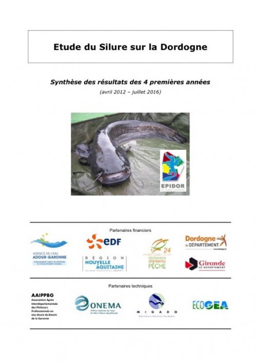 [Publication] Etude du silure sur la Dordogne : synthèse des résultats des 4 premières années 2012-2016