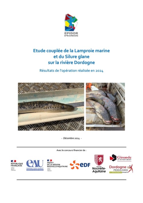 [Publication] Etude couplée de la lamproie marine et du silure glane sur la rivière Dordogne