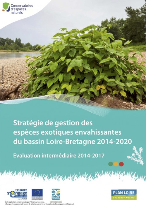 [Publication] Stratégie de gestion des espèces exotiques envahissantes du bassin Loire-Bretagne 2014-2020 - Evaluation intermédiaire 2014-2017