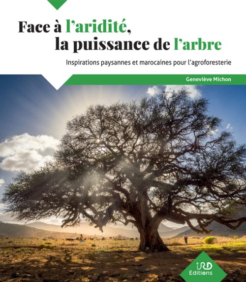 [Publication] Face à l’aridité, la puissance de l’arbre