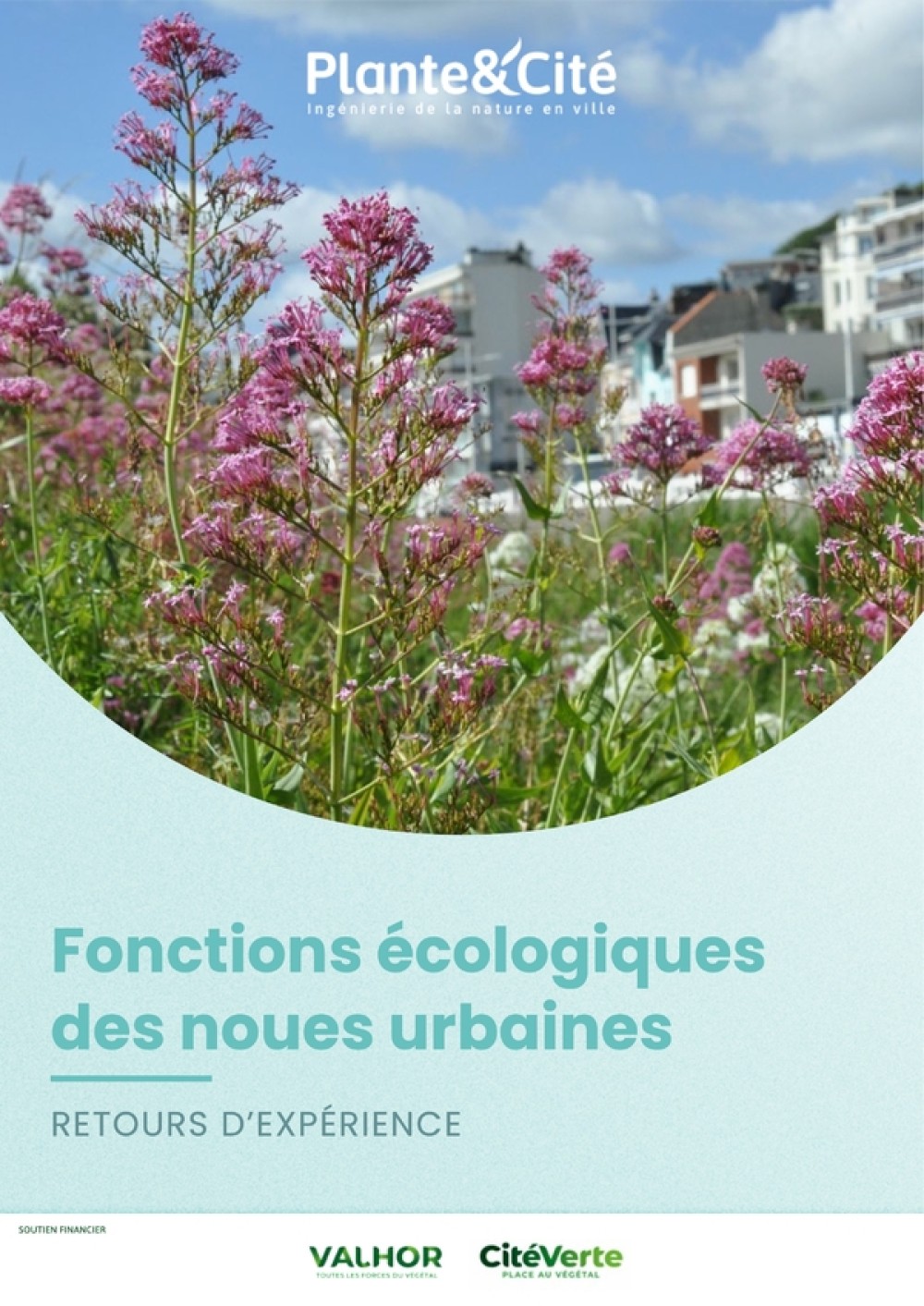 [Publication] Fonctions écologiques des noues urbaines : retours d'expérience