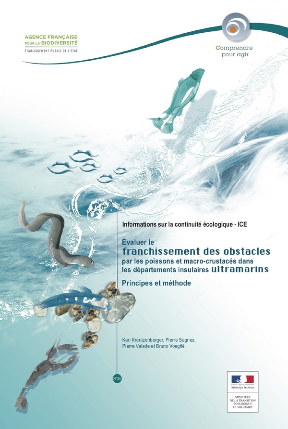 [Publication] Évaluer le franchissement des obstacles par les poissons et macro-crustacés dans les départements insulaires ultramarins : Principes et méthode