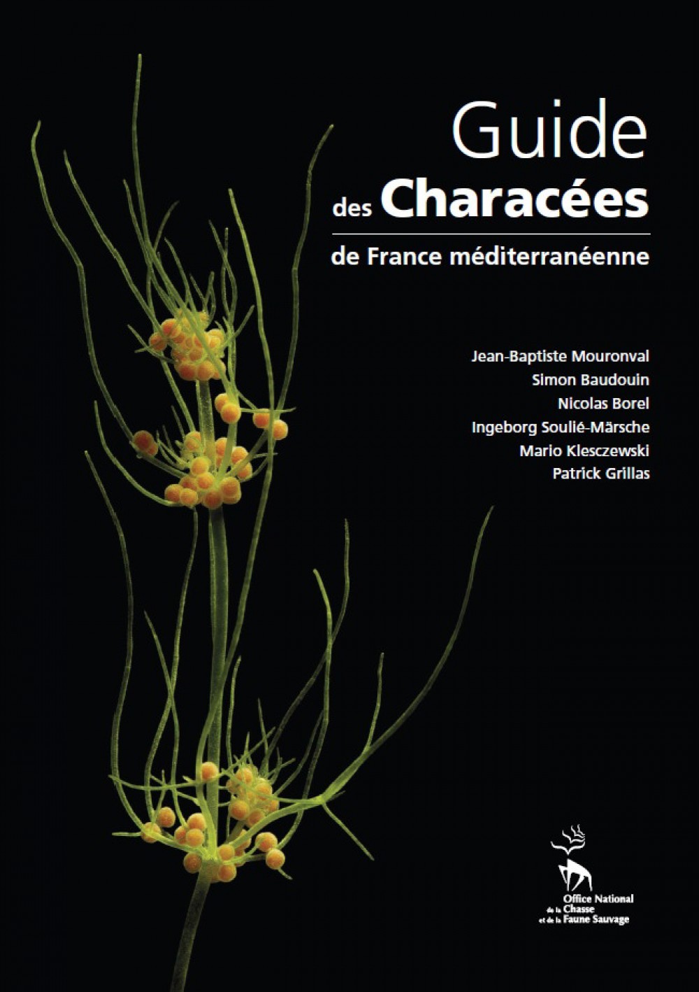 [Publication] Le Guide des Characées de France méditerranéenne - Pôle-relais lagunes méditerranéennes