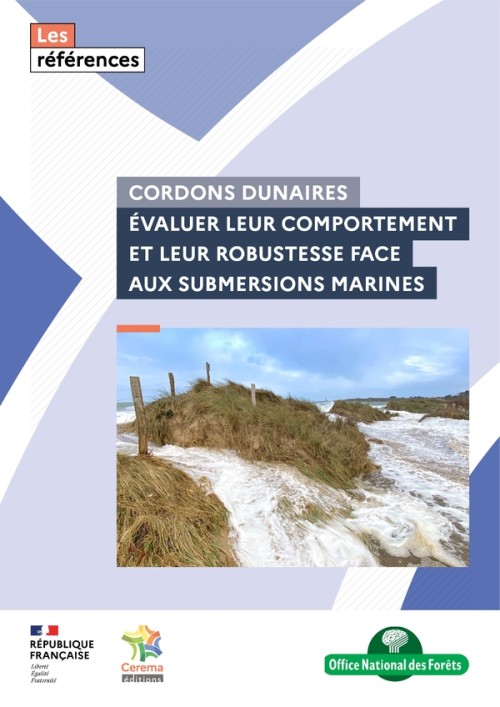 [Publication] Cordons dunaires : évaluer leur comportement et leur robustesse face aux submersions marines