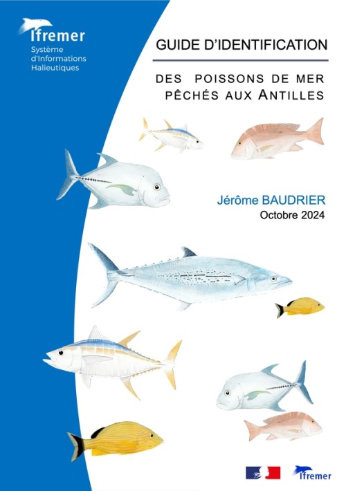 [Publication] Un guide illustré pour l’identification des poissons de mer pêchés aux Antilles