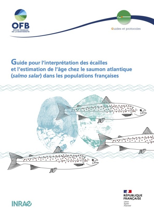 [Publication] Guide pour l'interprétation des écailles et l'estimation de l'âge chez le saumon atlantique (salmo salar) dans les populations françaises