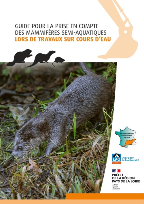 [Publication] Guide pour la prise en compte des mammifères semi-aquatiques lors de travaux sur cours d'eau