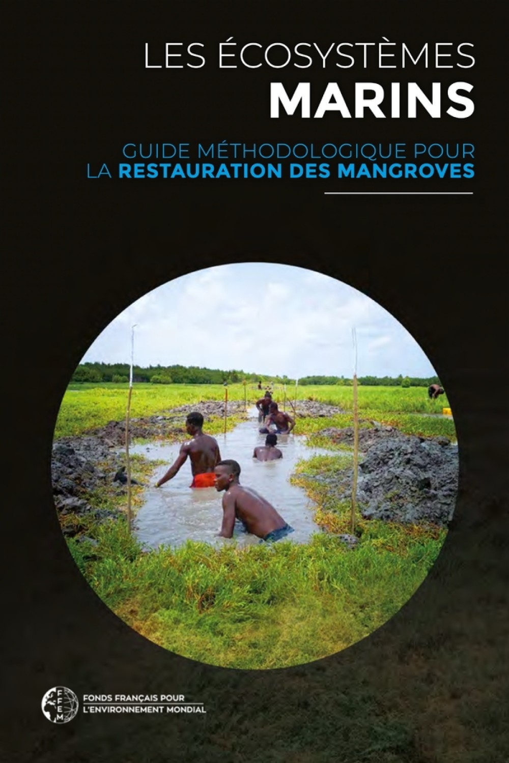 [Publication] Guide méthodologique pour la restauration des Mangroves