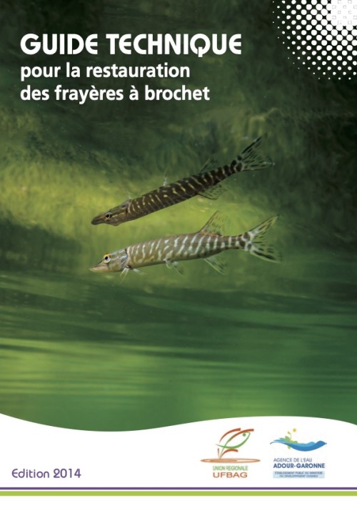 [Publication] Un guide pour la restauration des frayères à brochet - Agence de l'eau Adour Garonne