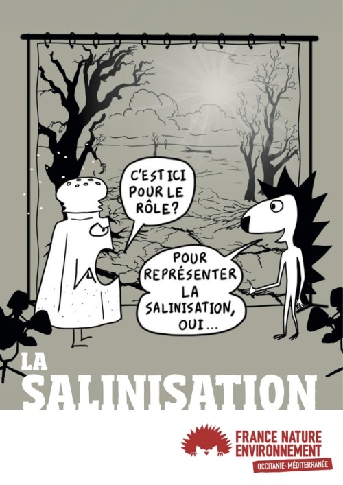 [Publication] Mini-guide sur la salinisation
