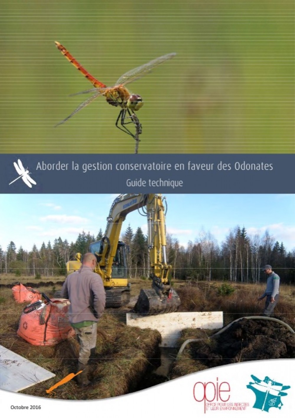 [Publication] Aborder la gestion conservatoire en faveur des odonates - Guide technique