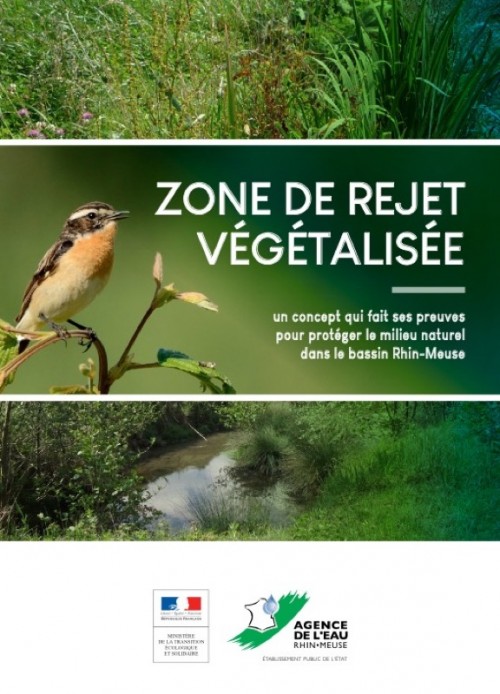 [Publication] Zones de rejet végétalisées, un concept qui fait ses preuves sur le bassin Rhin-Meuse - Agence de l'Eau Rhin-Meuse
