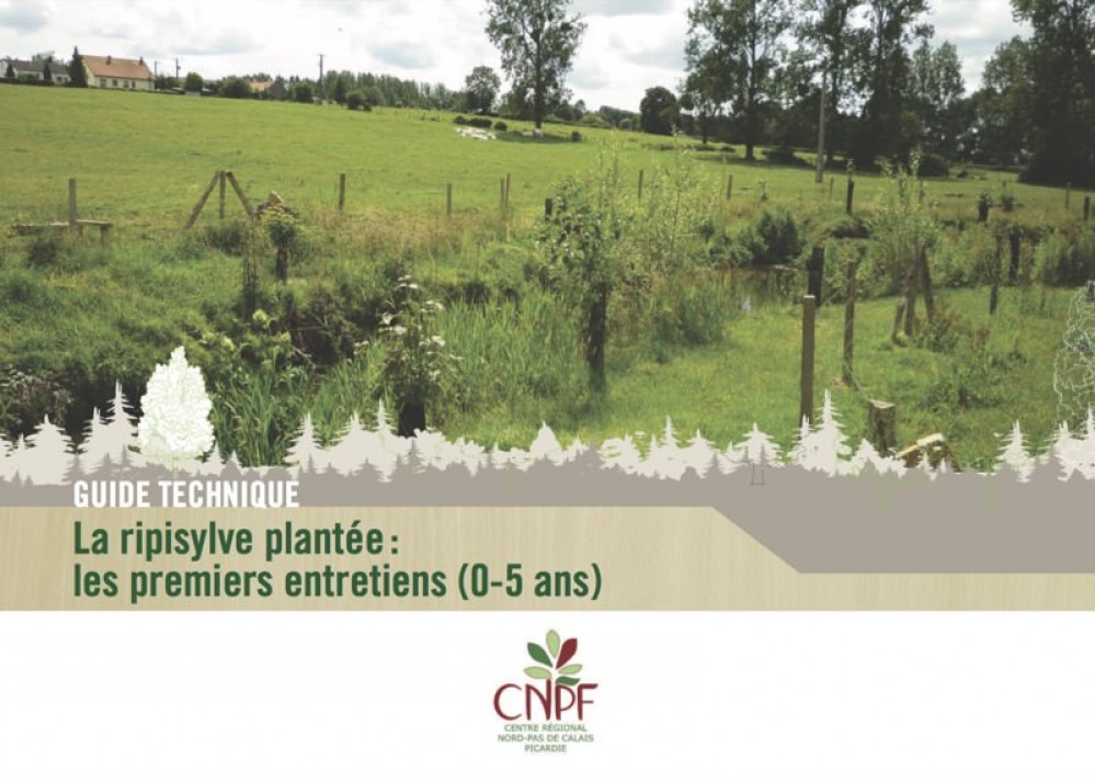 [Publication] Guide technique - La ripisylve plantée : les premiers entretiens (0-5 ans)