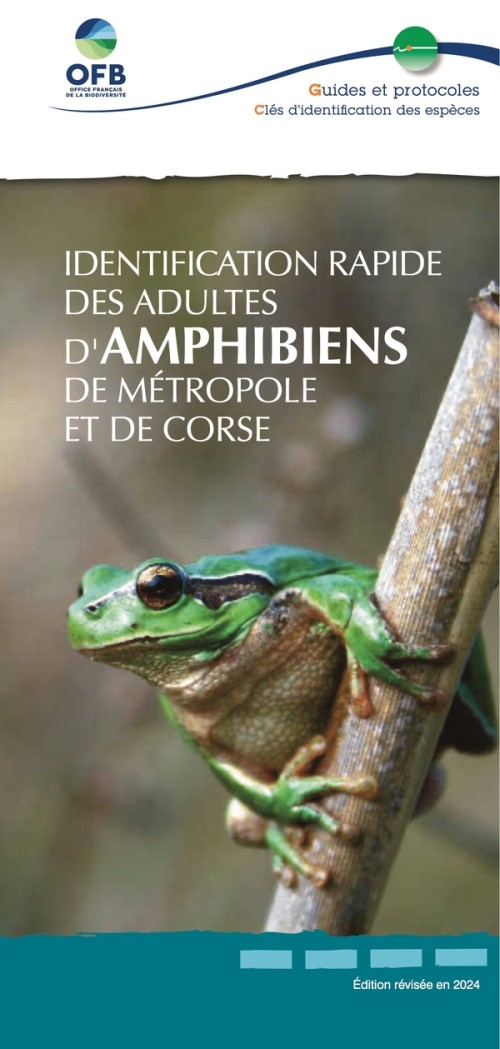 [Publication] Identification rapide des adultes d'amphibiens de métropole et de Corse