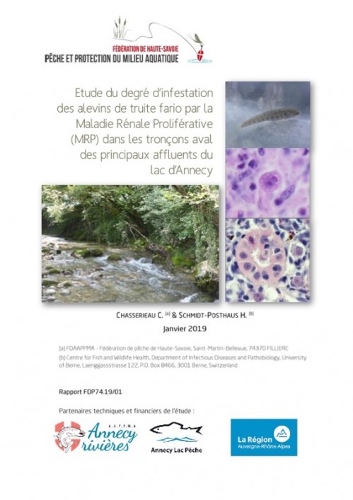 [Publication] Etude du degré d'infestation des alevins de truite fario par la Maladie Rénale Proliférative (MRP) dans les tronçons aval des principaux affluents du lac d'Annecy