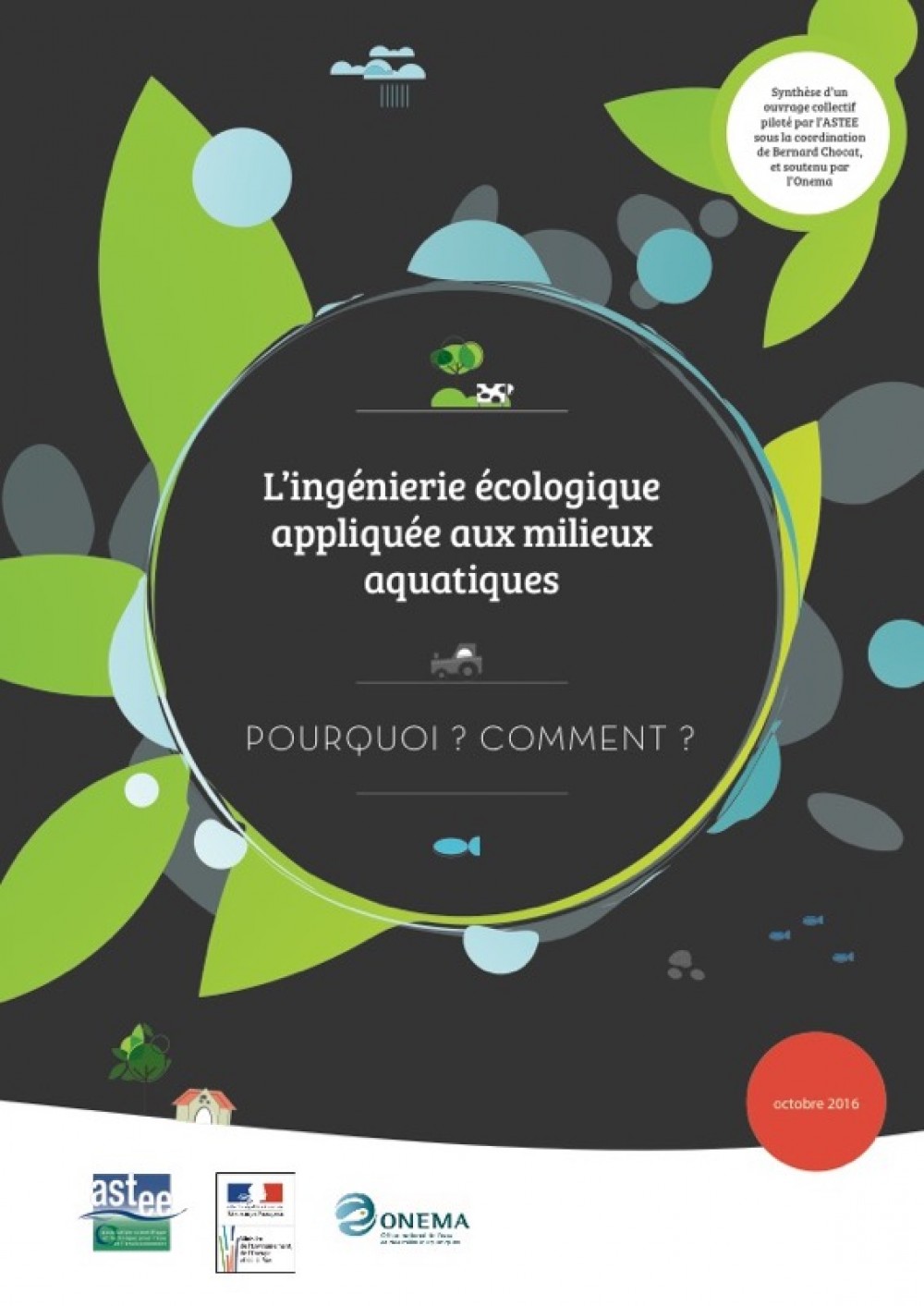 [Publication] Synthèse Ingénierie écologique appliquée aux milieux aquatiques. Pourquoi ? Comment ? - ASTEE