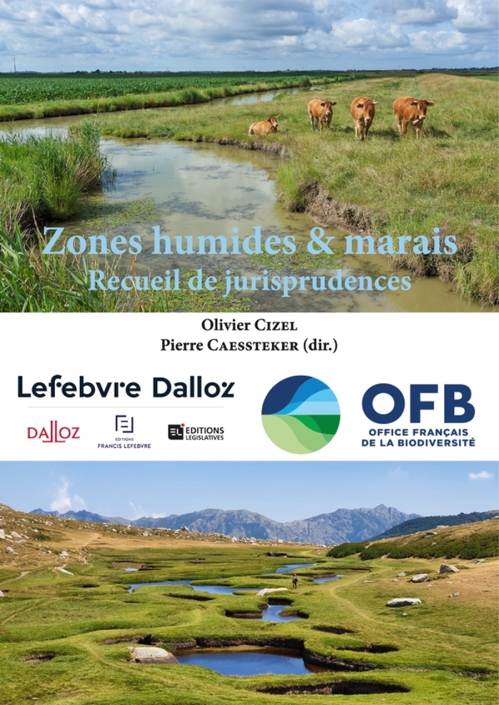 [Publication] Jurisprudences sur les zones humides et marais – Forum des Marais atlantiques