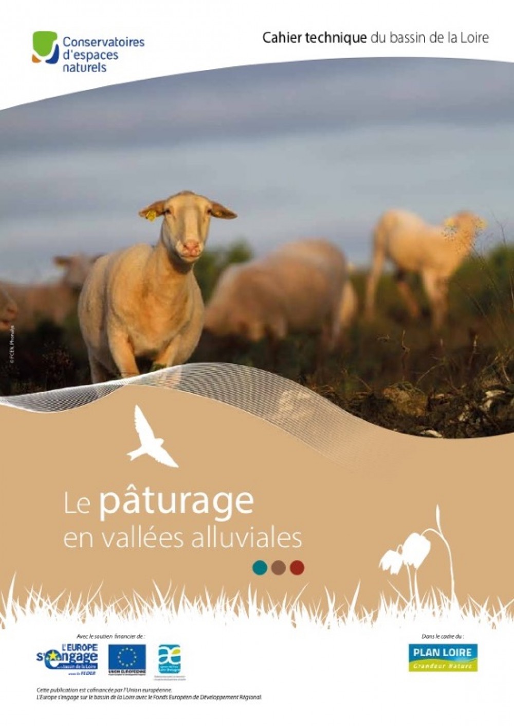 [Publication] Le pâturage en vallées alluviales