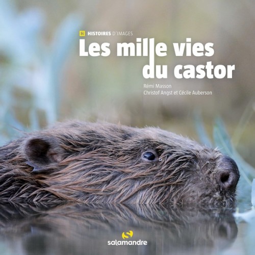 [Publication] Les milles vies du castor