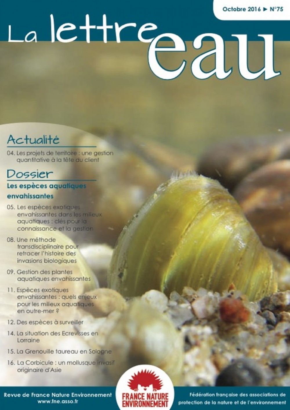[Publication] La lettre eau - FNE