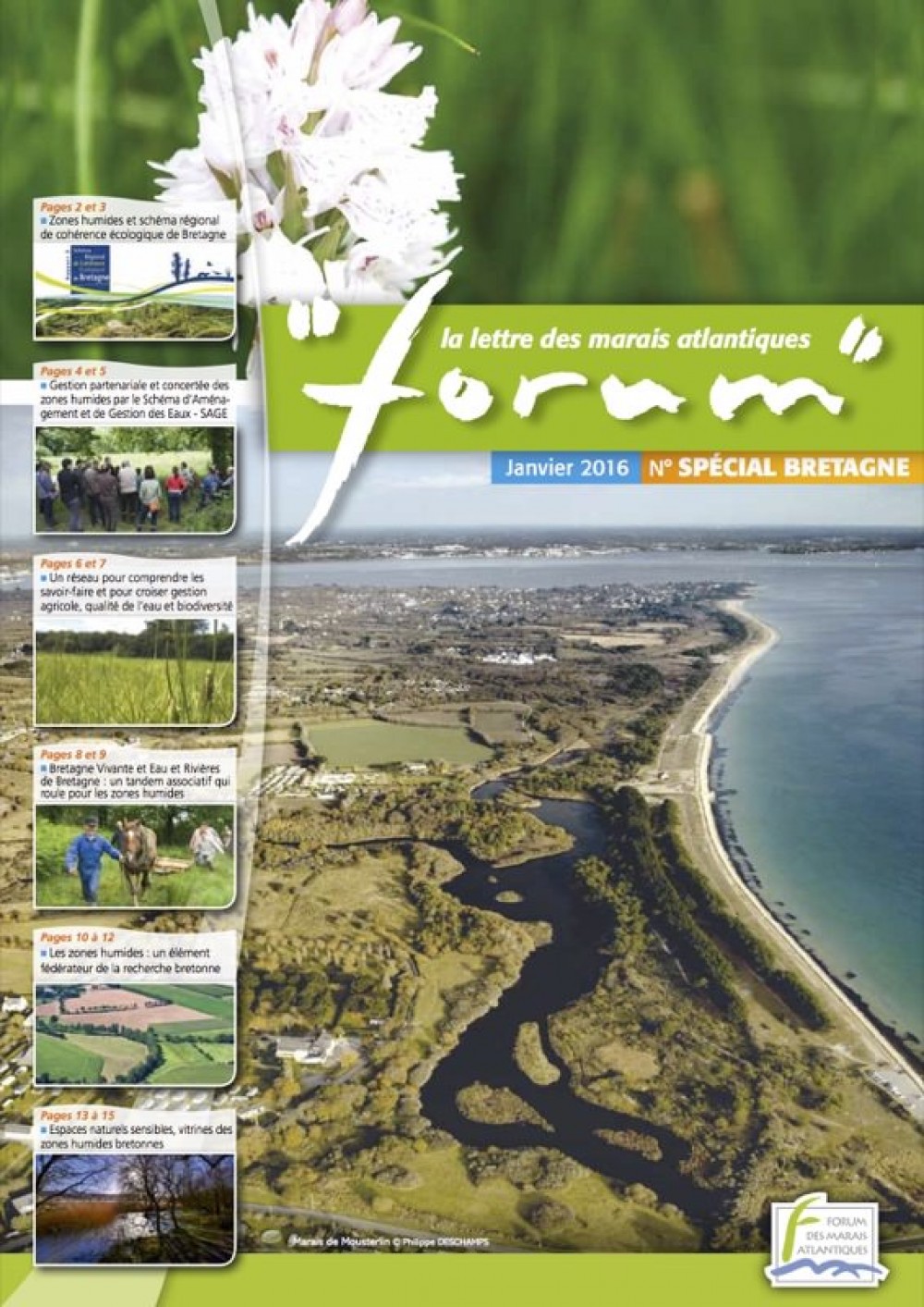 [Publication] Forum, la lettre des marais atlantiques