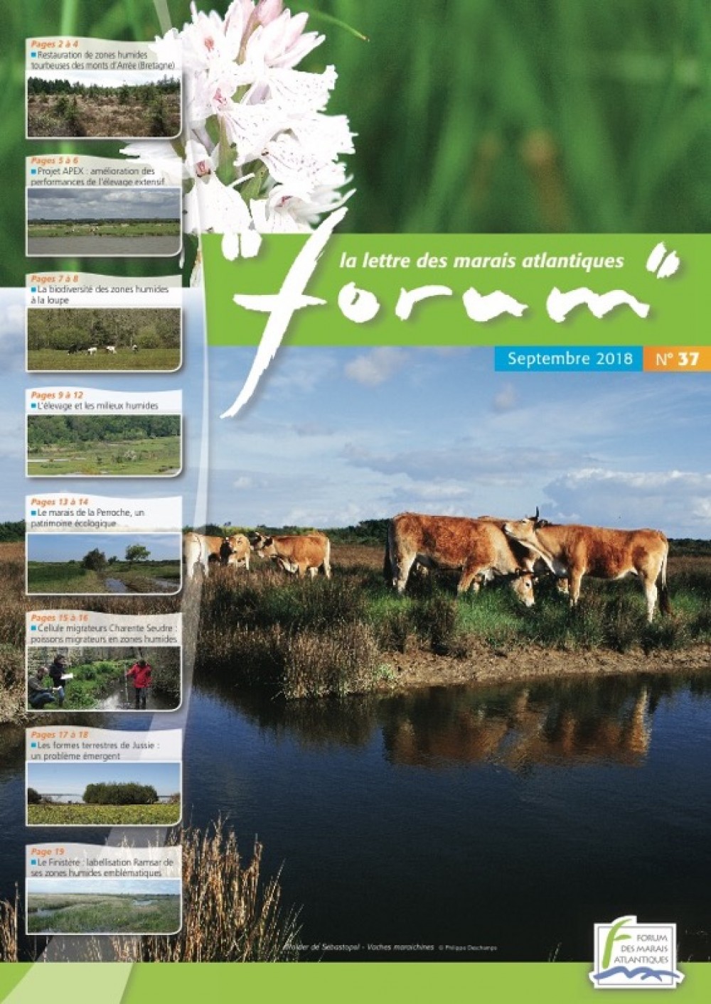 [Publication] Forum, la lettre des marais atlantiques