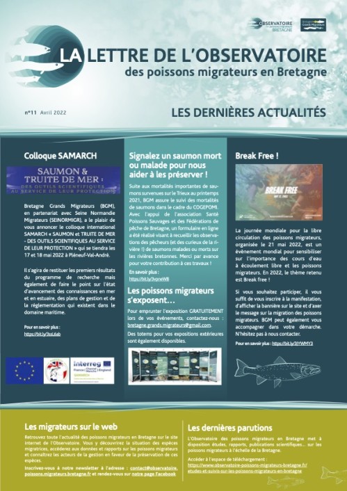 [Publication] La lettre de l’Observatoire des poissons migrateurs en Bretagne