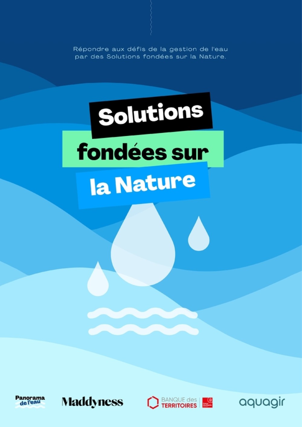 [Publication] Livre blanc sur les solutions fondées sur la nature