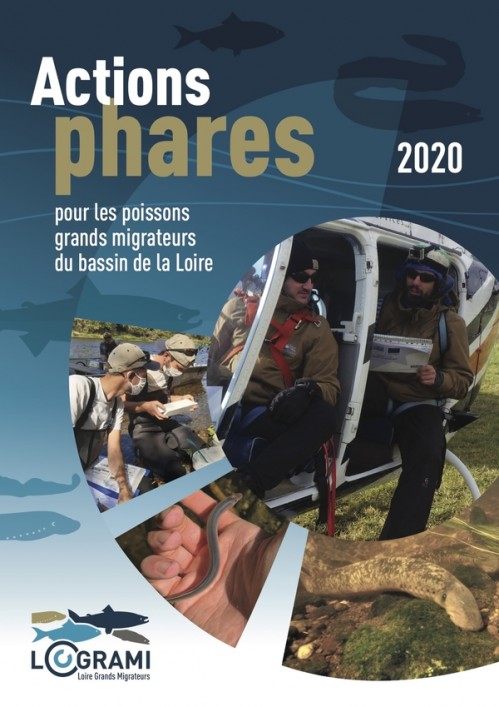 [Publication] Loire Grands Migrateurs : actions phares 2020