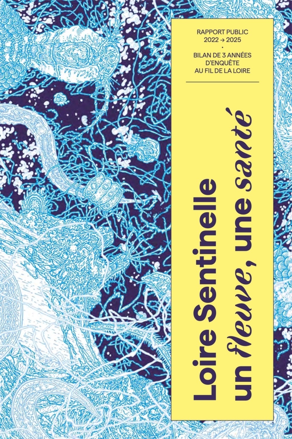 [Publication] Rapport public Loire Sentinelle : un fleuve, une santé