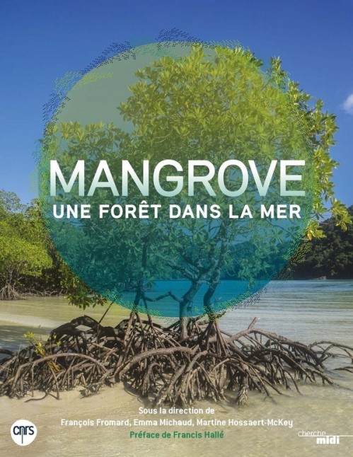 [Publication] Mangrove, une forêt dans la mer - CNRS