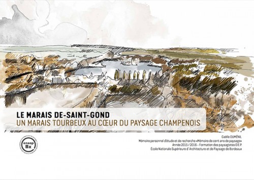 [Publication] Mémoire - Le marais de Saint-Gond : un marais tourbeux au coeur du paysage champenois