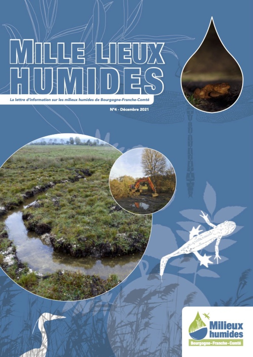 [Publication] Mille lieux humides, la lettre d'information sur les milieux humides de Bourgogne-Franche-Comté