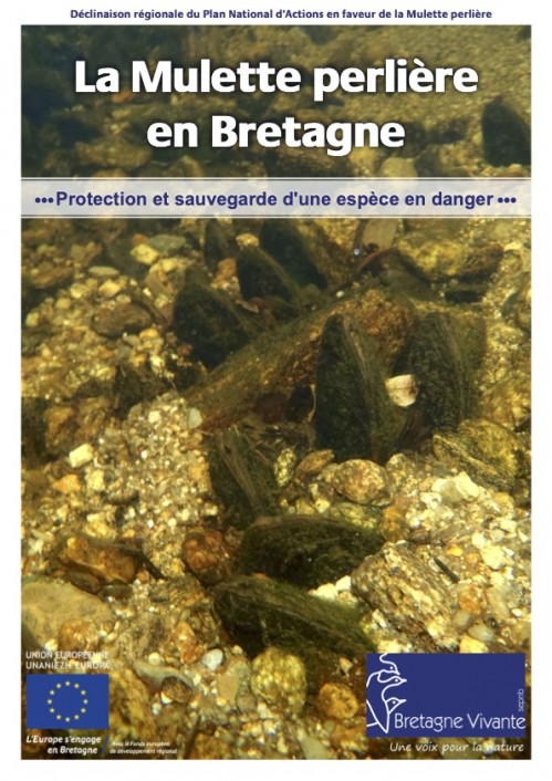 [Publication] La Mulette perlière en Bretagne - Protection et sauvegarde d'une espèce en danger