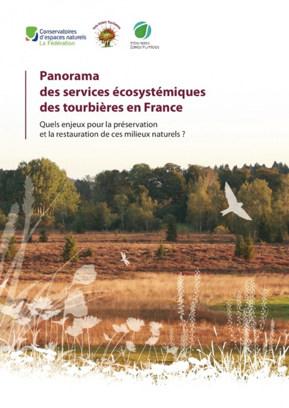 [Publication] Services écosystémiques des tourbières - Pôle-relais tourbières