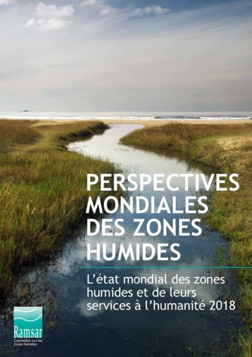 [Publication] Perspectives mondiales des zones humides : L’état mondial des zones humides et de leurs services à l’humanité 2018